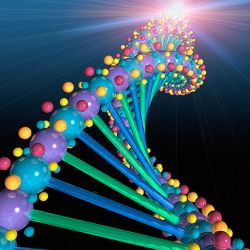 Study Says Religion Spreads with “Believer Gene”