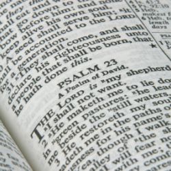 Harvard Professor Discusses Purpose of the Bible