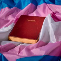 What Does the Bible Say About Trans People?
