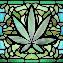 Cannabis Church Fights Back