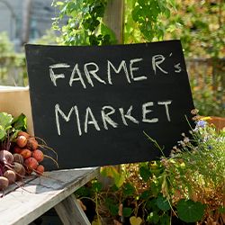 Judge Rules City Can't Ban Anti-LGBTQ Vendor From Farmer's Market