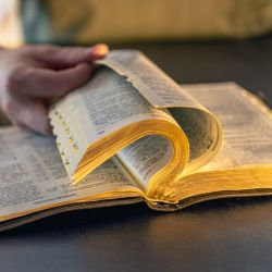 God Qualifies the Called