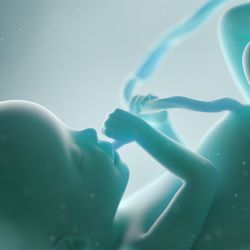 Alabama Supreme Court Rules Frozen Embryos Are Children, Citing Bible