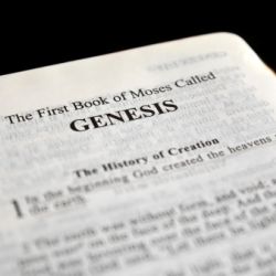 Books of the Bible: Genesis