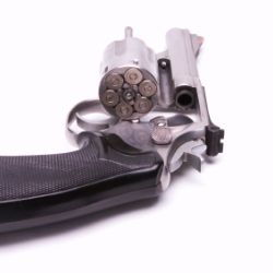 Freedom or Protection: A Discussion on Gun Control