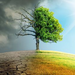 Will God Protect the Earth? Evangelicals Spar on Climate Change