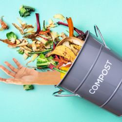 California Legalizes Human Composting as Catholics Fume