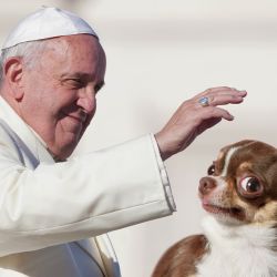 Pope Francis Scolds 'Selfish' Couples That Adopt Pets Instead of Children