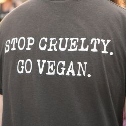 Veganism Ruled as Protected Class in U.K., Comparable to Religious Belief