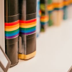 Lafayette Libraries Ban Pride, Black History Month Displays