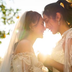 States Urge Supreme Court to Overturn Same-Sex Marriage