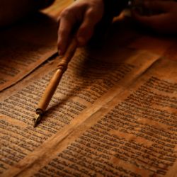 Bible Shows Human Errors, Scholars Say