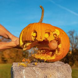 War on Halloween? Unlikely Alliance Teams Up to Take Down Spooky Season