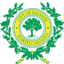 Raleigh seal