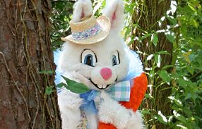 Person in Easter bunny costume standing behind tree outdoors
