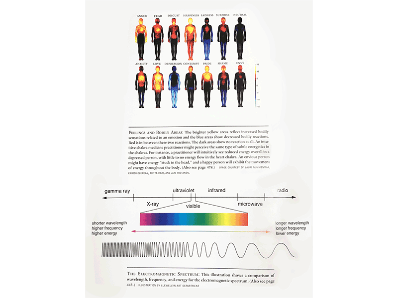 Complete Book of Chakras page