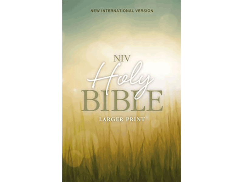 Holy Bible NIV