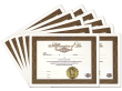 Certificate of Affirmation 10 Certificates