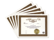 Certificate of Affirmation 5 Certificates
