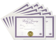 Certificate of Baby Naming 10 Certificates