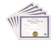 Certificate of Baby Naming 5 Certificates