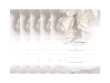 Marriage Certificate - White Rose 5 Pack - $15.99