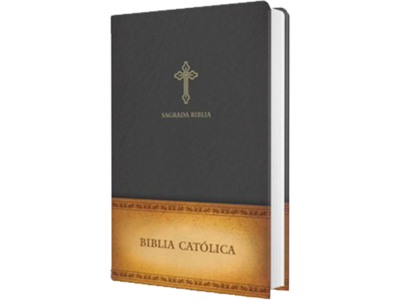 Holy Bible - Spanish