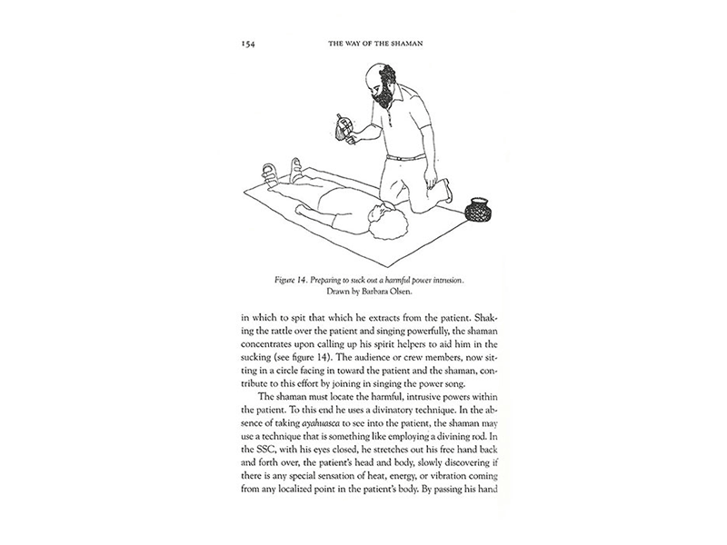 The Way of the Shaman page