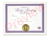 Certificate of Baby Naming