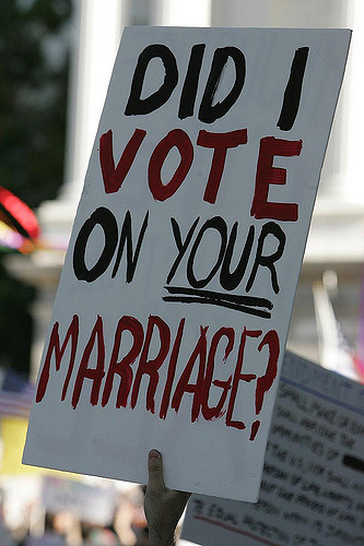 Did I Vote on Your Marriage - Protest Sign