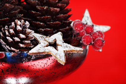 Christmas Yule Decorations Natural Nature Seasons holiday, decorations, Universal Life Church