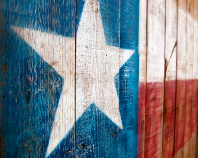 OLYMPUS DIGITAL CAMERA ULC, Universal Life Church, Texas flag